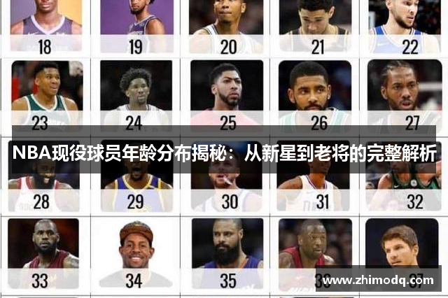 NBA现役球员年龄分布揭秘：从新星到老将的完整解析