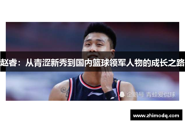 赵睿：从青涩新秀到国内篮球领军人物的成长之路